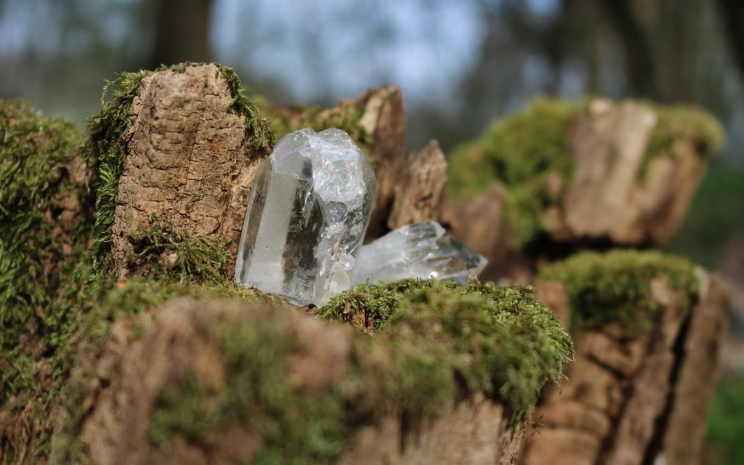 The Story Behind Lemurian Seed Crystals