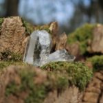 The Story Behind Lemurian Seed Crystals