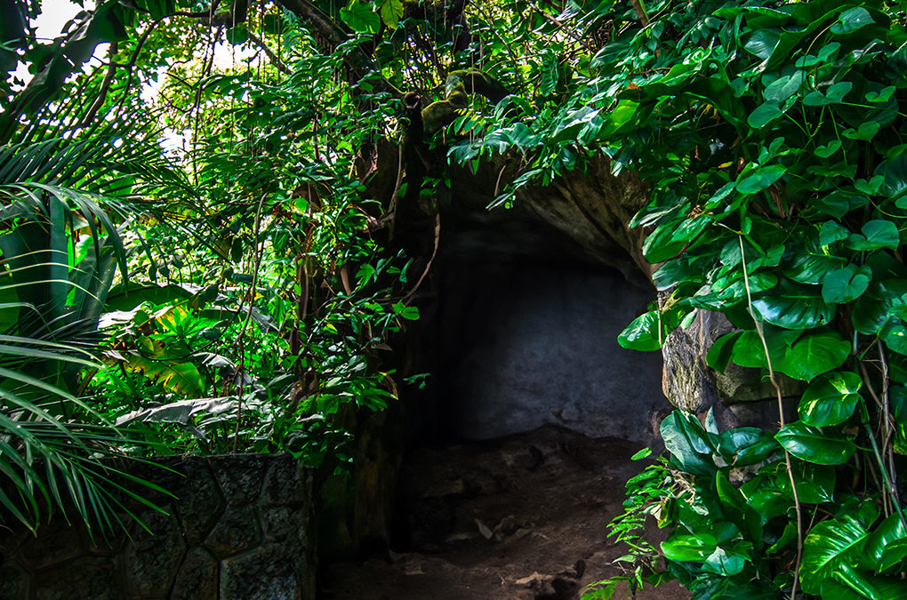 Cuevas de los Tayos and the Relics of a Lost Civilization