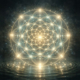 Cymatic mandala formed by sound waves in water, showing harmonic frequency patterns and resonance geometry